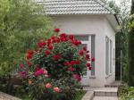 Продам дом с большим ухоженным участком 20 соток в Севастополе