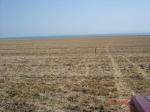 Земельный участок у Чёрного моря