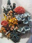 Коралловые рифы из керамики.