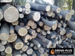 Рубані дрова Луцьк – ціна. Купити метровий кругляк